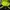 Jaket Running Puma Black Lucid Lemon  photo 5