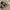 Like New Original Authentic Le Coq Sportif Saint Gaétan 29 photo 2