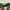Espionage Fatigue pants green army carhartt dickies uniqlo photo 6