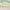 Cottagecore Fairy Skirt Wanita Multicolor Green Tan Cream