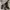 Low-rise short pants BRAND BILLABONG photo 3