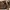 Rare item Original Authentic LongLive Vintage Fossil Leather photo 1