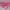 Crop Top Fitted Stripe Pink photo 1