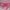 Crop Top Fitted Stripe Pink