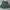 Green skirt photo 1