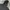 Carhart active jacket blk photo 5