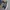 Converse one star navy photo 6