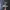 sneakers 990v5 grey MiUSA photo 2