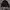 Adidas revesible photo 4
