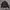 Adidas revesible photo 3
