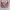 Fendi Vintage Luxury Shoulder bag Wanita pink photo 8