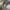 Gerry USA Utility Chino size tag L fit 33 photo 4
