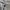 Dickies Genuine 100 % Ripstop size tag 36 photo 4