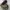 MEN'S TIMBERLAND WHITE LEDGE WP-M HIKING BOOTS photo 2