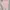 LaNe basic multiway knit top  photo 1