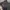 Alexander Wang Floral Knitted Mesh Dress Luxury photo 8