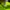 Adida* adizero evo sl black green photo 6