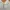 Flower Circle buttonup neck longsleeve photo 2