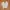 Flower Circle buttonup neck longsleeve photo 1