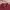 Poloshirt Uniqlo Basic Maroon photo 3