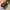 New Balance 576 Leather Black on Black Velcro Strap MW576VK  photo 2