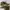 Sepatu hige cut Eiger STANLEY 7054 Olive Sneakers Pria  photo 5