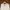 Burberry Luxury T-shirt Wanita tan cream photo 4