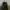 Hoodie ADLV Baby Face photo 2