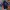 Tracktop Casual Sportswear Puma Tapped Navy-Orange