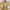 KnitWear beige Turtleneck photo 8
