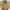 KnitWear beige Turtleneck photo 4