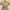 KnitWear beige Turtleneck photo 9
