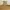 KnitWear beige Turtleneck photo 10