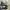 Converse Jack purcell photo 7