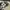 Converse Jack purcell photo 2