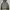Halfzip Hoodie Canvas Jacket Even Youth Active Jacket
