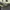 Longchamp Medium Long Handle MLH in Black Green Series  photo 5