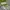 Longchamp Medium Long Handle MLH in Black Green Series  photo 8