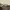 Longchamp MLH Medium Long Handle in Moka photo 5