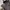 Longchamp MLH Medium Long Handle in Moka photo 4