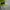 Longchamp MLH Medium Long Handle in Moka photo 6
