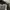 Longchamp MLH Medium Long Handle in Moka photo 3