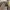 Longchamp MLH medium long handle in Fleurs photo 5