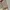 Longchamp MLH medium long handle in Fleurs photo 2