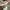 Longchamp MLH medium long handle in Fleurs photo 3