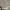Longchamp MLH medium long handle in Fleurs photo 10