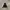 Adidas Zne Gray photo 1