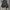 Adidas photo 1