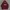 Hoodie Elstinko maroon like new  photo 1
