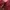 Hoodie Elstinko maroon like new  photo 7